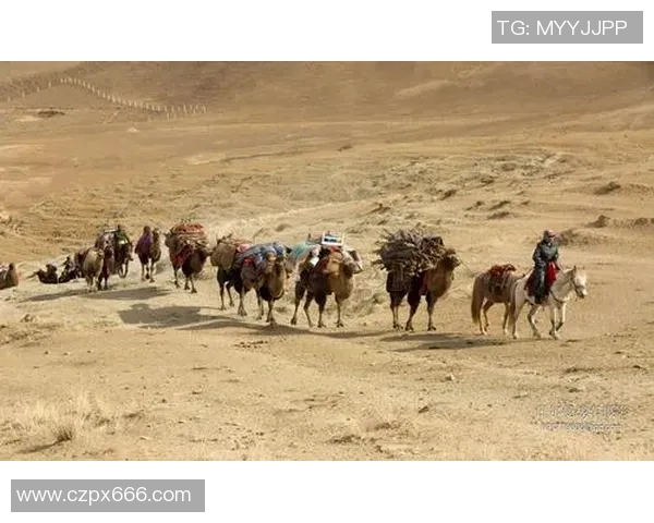 足球明星比心转场视频揭秘他们背后的故事与情感瞬间